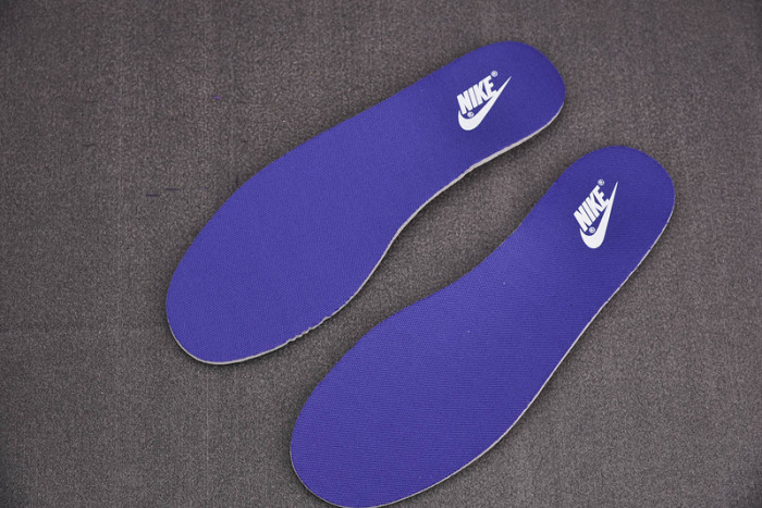 Nike Dunk Low Championship Court Purple DD1391-104