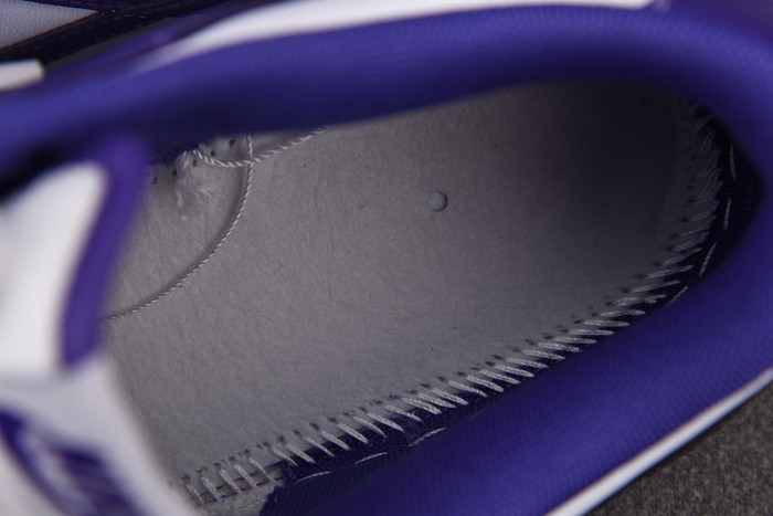 Nike Dunk Low Championship Court Purple DD1391-104