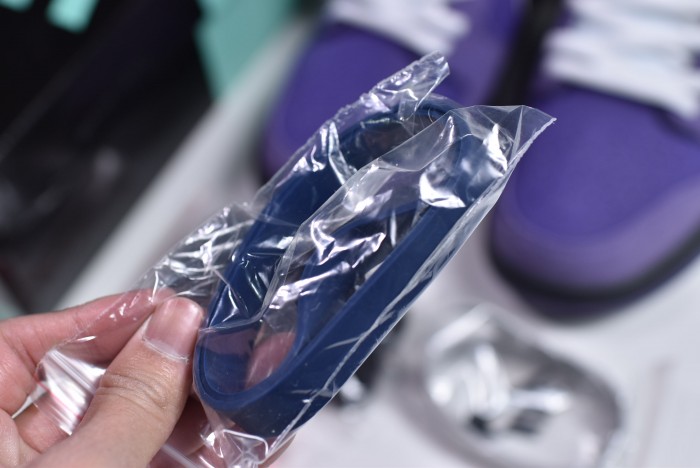 Concepts x NK SB Dunk Low "Purple Lobster" BV1310-555