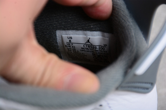 Air Jordan 6 "Cool Grey" CT8529-100