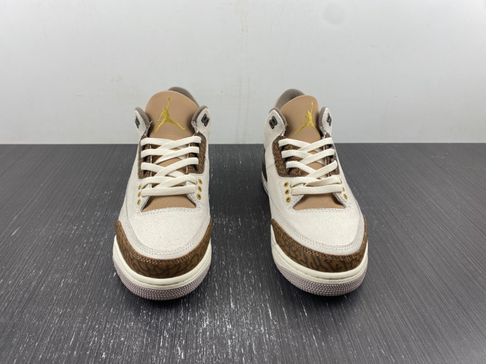 Air Jordan 3 Palomino CT8532-102