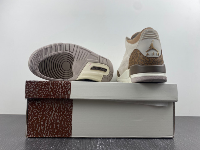 Air Jordan 3 Palomino CT8532-102