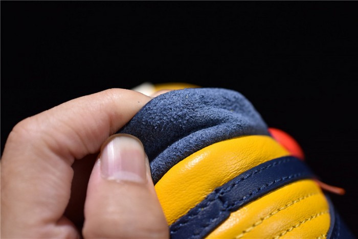 Nike Dunk Low OFW Michigan CT0856-700