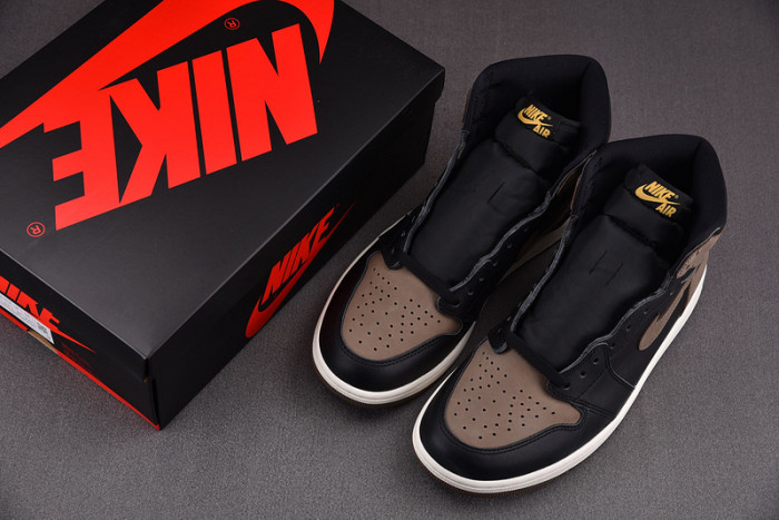 Air Jordan 1 High OG "Palomino" DZ5485-020