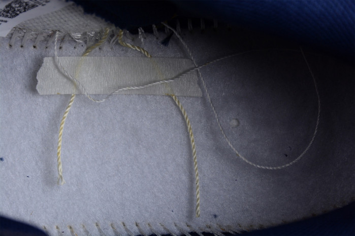 Nike Dunk Low Michigan DD1391-700